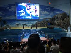 -福州罗源湾海洋世界旅游区