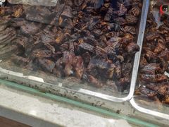 -都士牧人现烤牛肉干