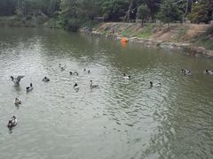 -邹记·美食(斗门店)