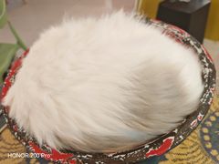 -平行世界·猫咖(首经贸店)