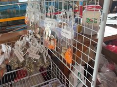 -蓝湾碧波·老字号·疍家非遗海上餐厅