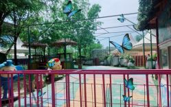 -萌宠亲子动物乐园(槐房万达店)