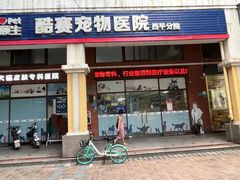 -宠颐生猫科·内科皮肤科(西平世纪城店)