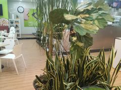 -813芭依珊 BAESAn(皇冠十畝地店)