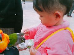 -昆明动物园