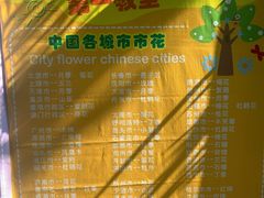 -青青世界