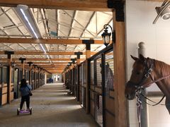 -北京群众马术培训基地