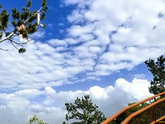 -少华山国家森林公园