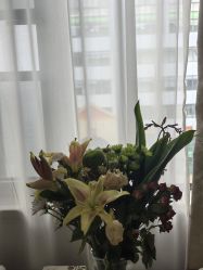 -弗蕾亚·和月月子调理院(东湖店)