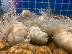 -健眺小海鲜(临海后山店)