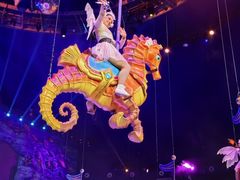 -海合安武汉极地海洋公园