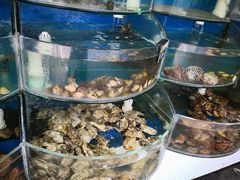 -东戴河风景区-止锚湾