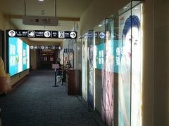 -华谊兄弟影院(北京洋桥店)