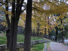 -阳台山自然风景区