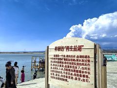 -盐湖景区