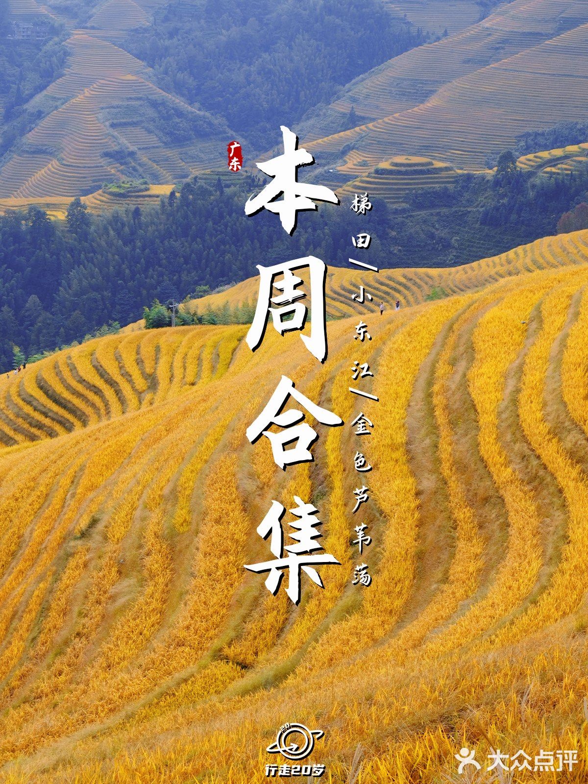 本周合集｜广东周边好去处❗️还有诗和远方💕