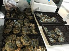 湖蟹-盒马鲜生(杭州运河上街店)