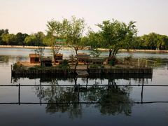 -后海公园