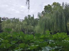 -西安市长乐公园