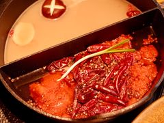 -大龙燚·旷野鲜火锅(广州首店)