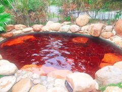 -清远熹乐谷温泉度假酒店