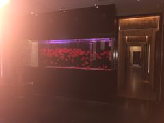 -大唐盲人按摩中心(黄山路店)