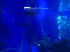 -成都浩海立方海洋公园