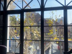 -弦月窗LUNETTE BY AMANDA(复兴路店)