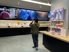 -Sony Store 索尼(上海淮海中路店)