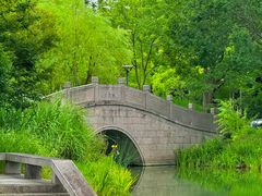 -长广溪湿地公园