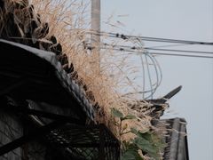 -北京鲁迅博物馆(北京新文化运动纪念馆鲁博馆区)