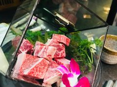 -新草堂锅物料理(泉城路店)