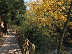 -太湖源风景区
