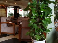-芙蓉凰花园酒楼