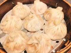-莱莱小笼·乔艾