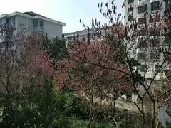 -上海大学(嘉定校区)