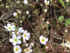 -瀛海足球主题公园