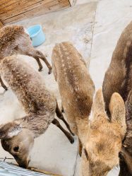 -萌宠亲子动物乐园(槐房万达店)