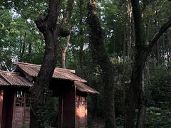 -兰亭风景区