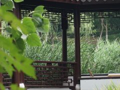 -日出青木·杭帮菜名店