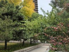 -玲珑塔公园