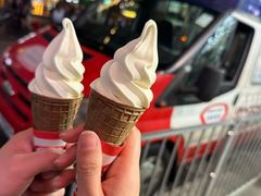 -富豪雪糕车流动点(尖沙咀)