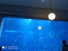 -南昌融创海世界