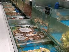 -SEA西雅图海鲜自助餐厅(海乐世界店)