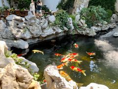 -鲤院·新中式美学·庭院餐厅(夫子庙店)