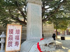 -龙口南山旅游景区