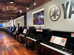 -通利琴行 - 尖沙咀(尖沙咀旗舰店)