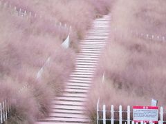 -嘉北郊野公园