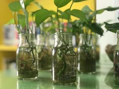 -古美路街道图书馆