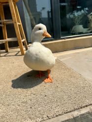 -拾光盒子儿童摄影(别墅店)